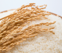 秋田のお米ギフト